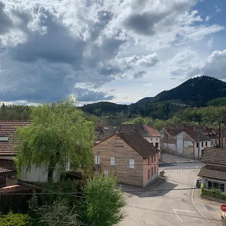 Cosy, Calme Proche Foret * La Petite-Raon